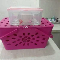 ظرف چایخوری و سبد پیک نیک