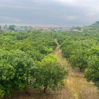 ۸۰۰۰متربهشت سرسبز/سند تک برگ/بنای کامل/تهاترتهران