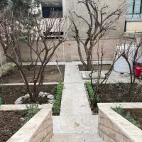 هرس درخت کود و شخم زنی