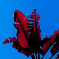 راهنمایی میکنم مجازی