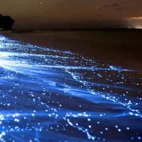 تور زمینی و هوایی قشم|تور و چارتر|شیراز, ریشمک|دیوار