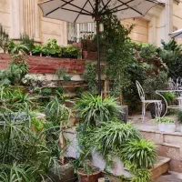 1000متربنادر500مترزمین زیرقیمت جردن / پارک ملت