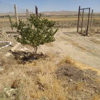 فروش زمین در همدان (دراراضی رباط شورین)