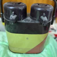 فلاکس دوقلو