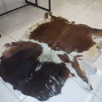 پوست گاو ترک