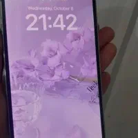 iPhone 13 Promax 256g