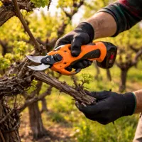 هرس درخت و کود دهی درختان میوه و ..