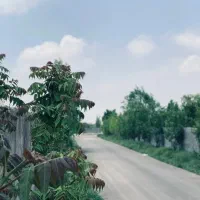 زمین ملکی داخل بافت