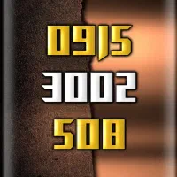 ۰۹۱۵.۳۰۰۲.۵۰۸