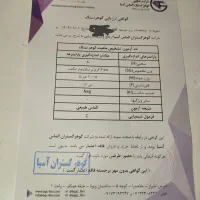 الماس طبیعی آفریقا تراش اوال (بیضی)|جواهرات|شیراز, شریف‌آباد|دیوار