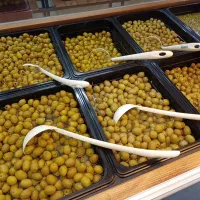 انواع زیتون شمال