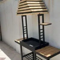 باربیکیو