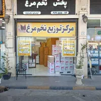 راننده وانت با ماشین مسئولیت پذیر جهت پخش تخم مرغ