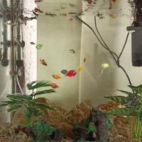 فروش یک عدد آکواریوم شرکتی