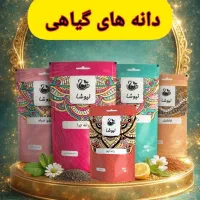 آموزش آنلاین طب سنتی