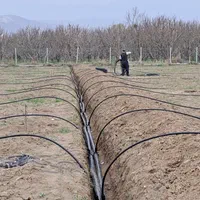 لوله کشی باغ و باغچه|خدمات باغبانی و درختکاری|ارومیه, |دیوار