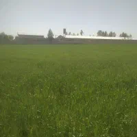 زمین فروشی ۶۰۰۰ متری