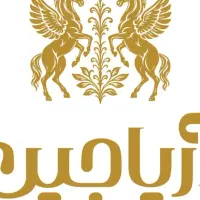 ادمین پیج اینستاگرام