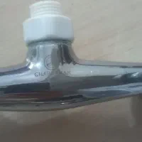 شیر  دوقلو قهرمان