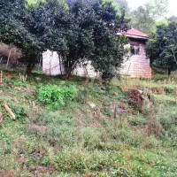 زمین مسکونی باغی ششصد متری توشی ویو ابدی|فروش زمین و ملک کلنگی|سیاهکل, |دیوار