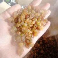 کشمش پلویی ملایر|عمدهفروشی|تهران, امیریه|دیوار