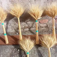 گل گندم|گل و گیاه طبیعی|رشت, چله خانه|دیوار