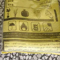 گوگرد