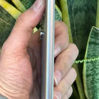 سامسونگ گلکسی s24 ultra/ اس ۲۴ الترا/ ۱ماه کار|موبایل|تهران, امام حسین|دیوار