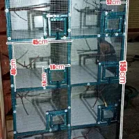 قفس آهنی نو مناسب انواع پرنده|لوازم جانبی حیوانات|سیرجان, |دیوار