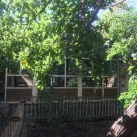 منزل مبله حیاط دار  برای اجاره روزانه در فریدونشهر
