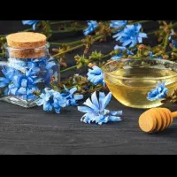 کار برای بانوان فعال
