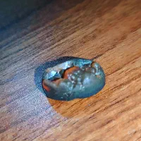 نگین سنگ عقیق شاتوتی تک|جواهرات|محمدیه-قزوین, |دیوار