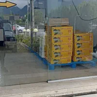 پخش کشمش آفتابی وشیره خرما|عمدهفروشی|نوشهر, |دیوار