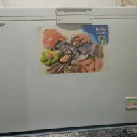 یخچال فریزر صندوقی