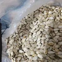 تخمه کدوحلوای وتخمه کدوخورشتی