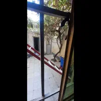 اجاره انبار و کارگاه ۹۷ متری دربست وصفنارد فوری|اجارهٔ خانه و ویلا|تهران, وصفنارد|دیوار