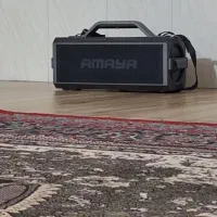 اسپیکر آمایا ۳۰۰