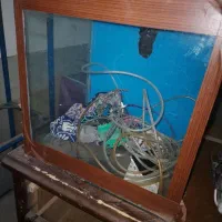 آکواریوم و لوازم جانبی