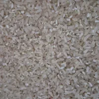 نیم دانه فجر سوزنی|خوردنی و آشامیدنی|آق قلا, |دیوار