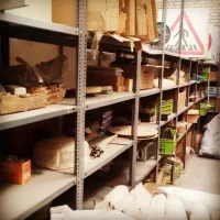 فوری فروش قفسه سبز