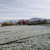 زمین تپه موسک