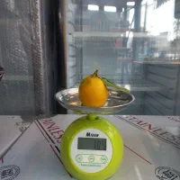 وزن کشی مواد آشپزخونه ترازو ۵ کیلو فانتزی ۱۹۵۰|سایر لوازم برقی|رشت, یخسازی|دیوار