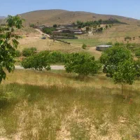 زمین باغی سپیدان|فروش دفتر صنعتی، کشاورزی، تجاری|سپیدان, |دیوار