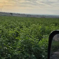 نیازمند به یک خانواده  کاری و مسولیت پذیر