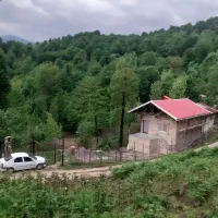 رهن-و-اجاره-یک-واحد-ویلایی-دار-در-دل-جنگل-گیلان
