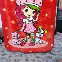 نوزادی قیمت مناسب|رختخواب، بالش، پتو|خرمدره, |دیوار