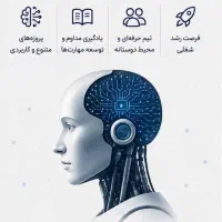 استخدام و همکاری با متخصص هوش مصنوعی