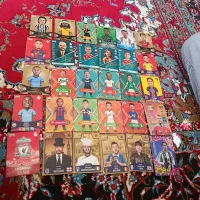 کیمدی 2025 طاق با عروس هلندی ماده