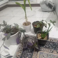 خانه واشپزخانه