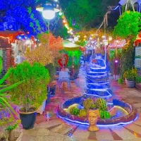 نیروی کار کافه ظرفشور، سالندار، قلیونزن، پارکبان